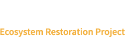 Matilija Dam Restoration Project